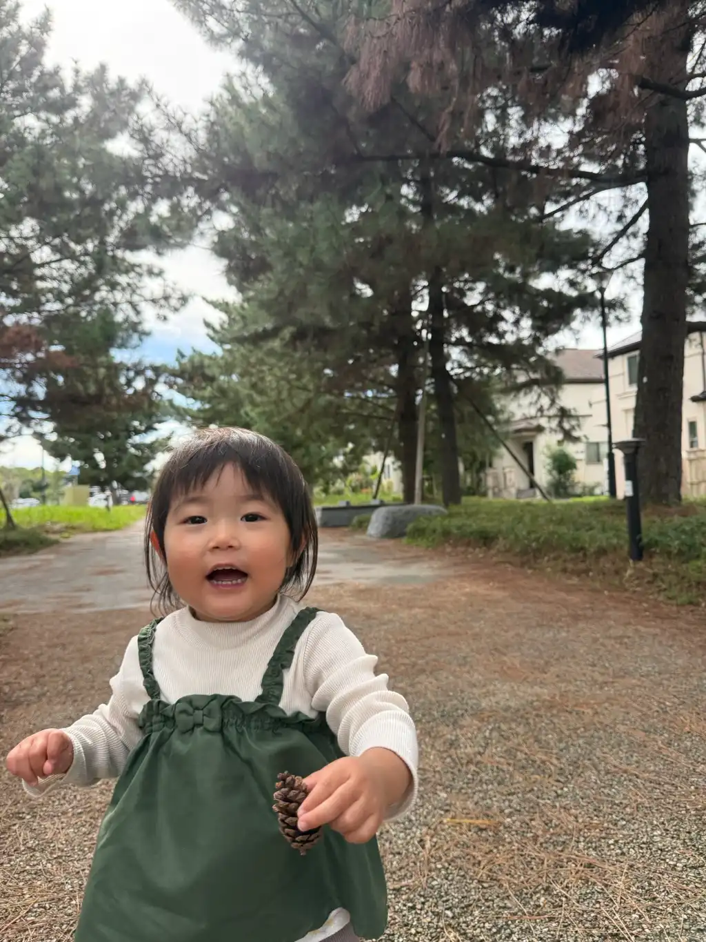 松ぼっくりあったよ