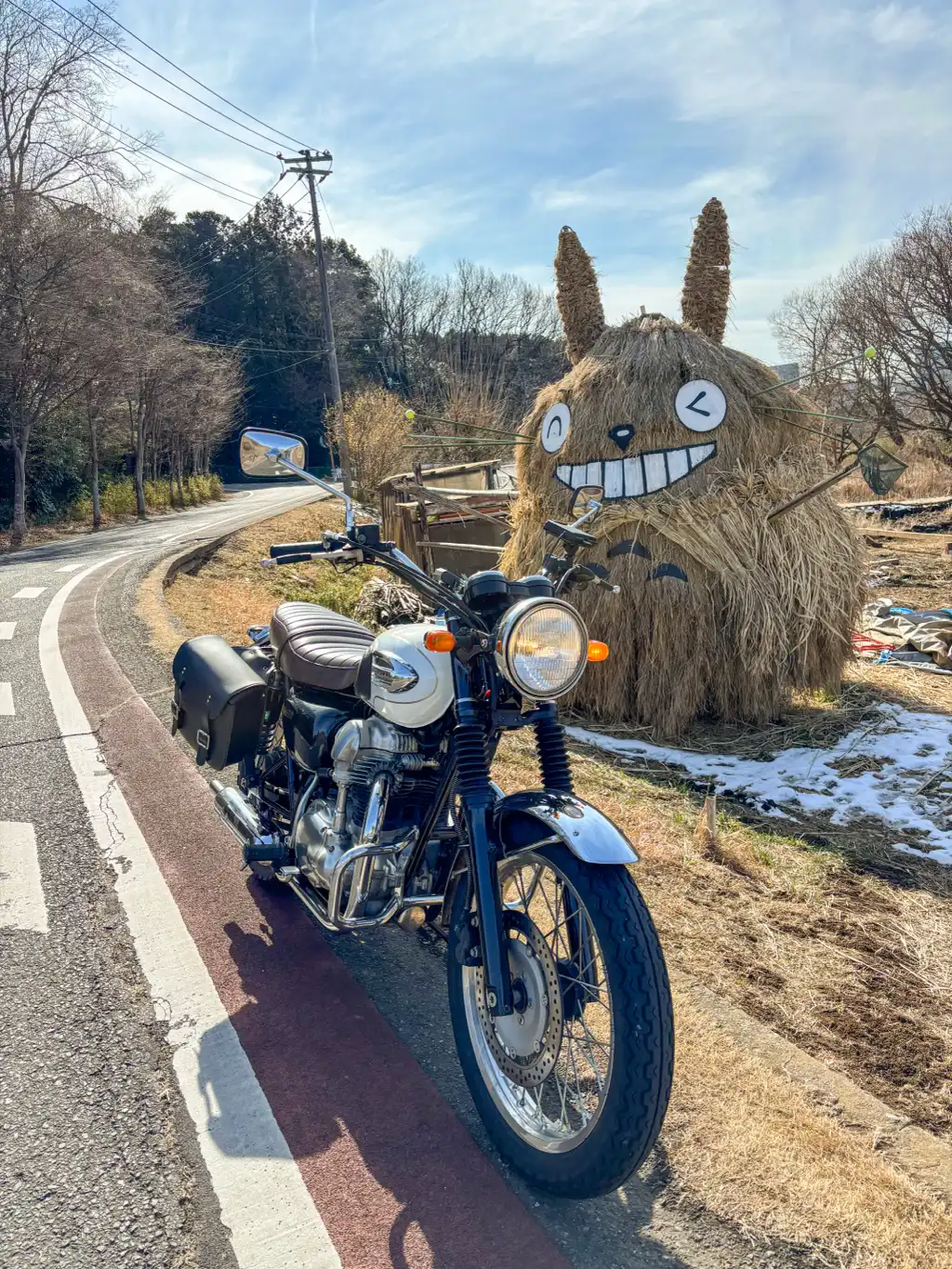 トトロいたもん