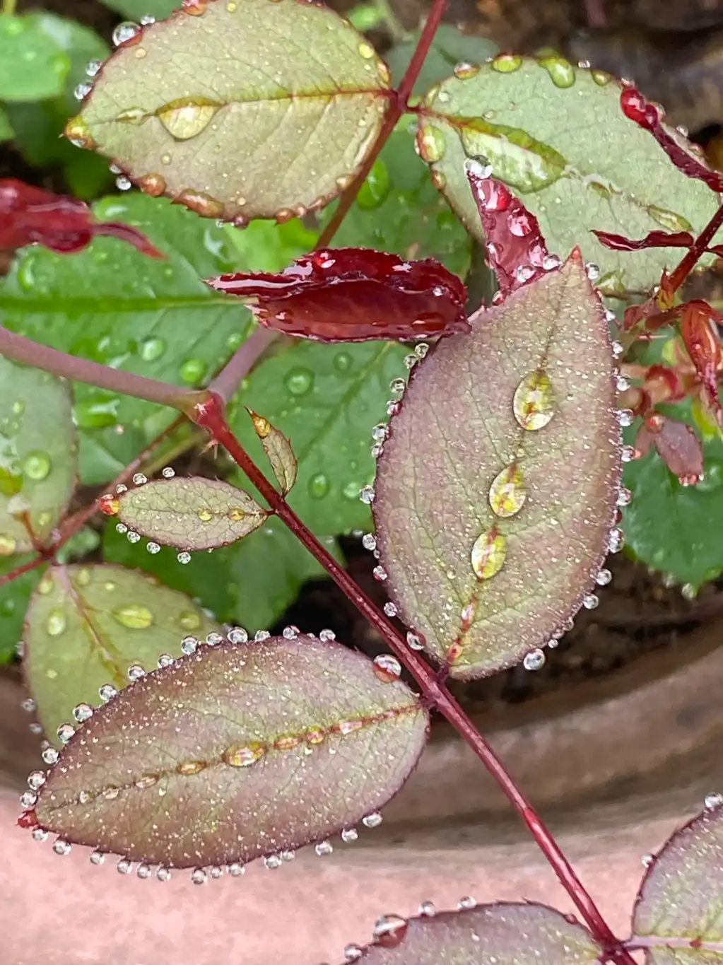 雨上がりの空