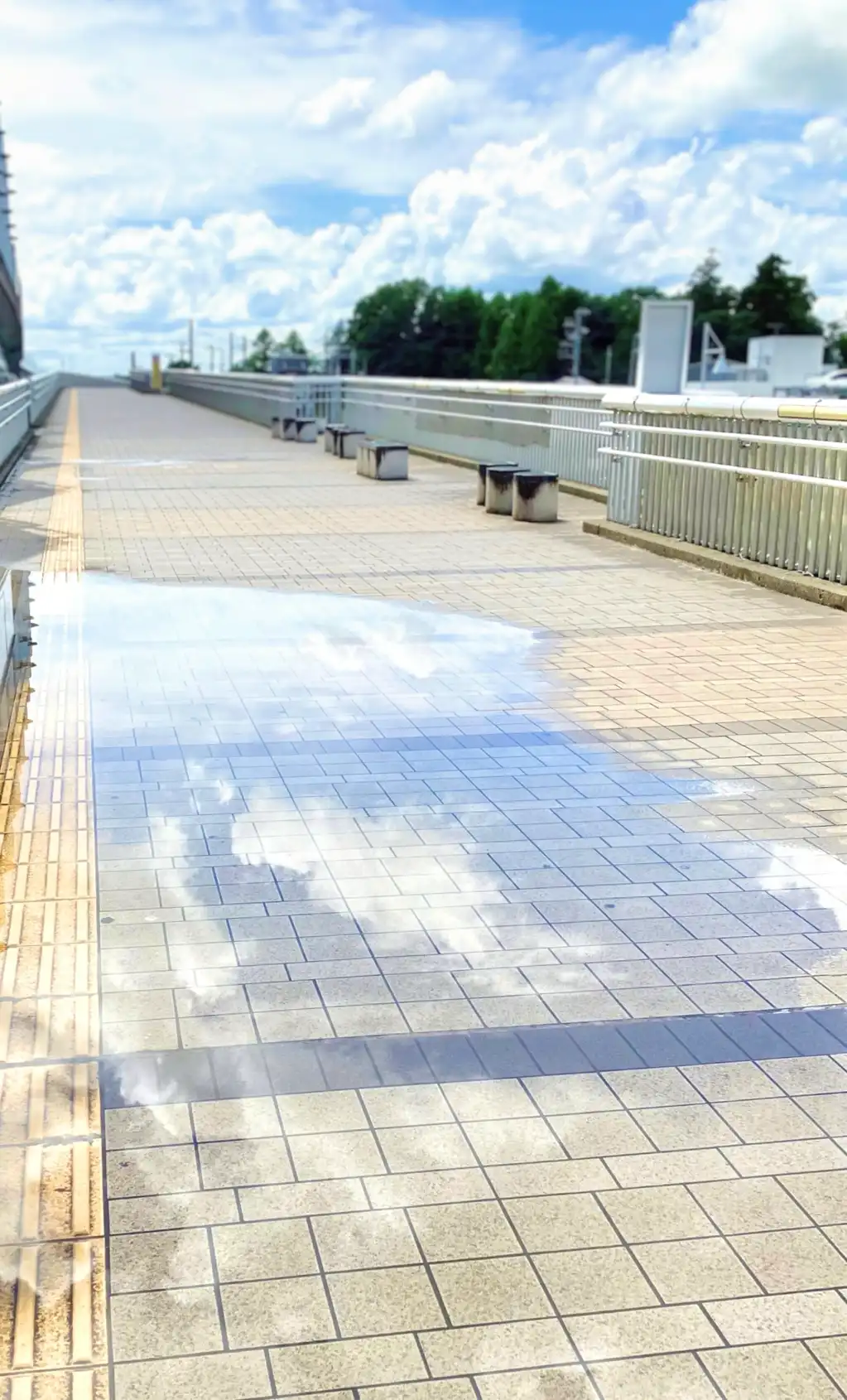 大雨の翌日
