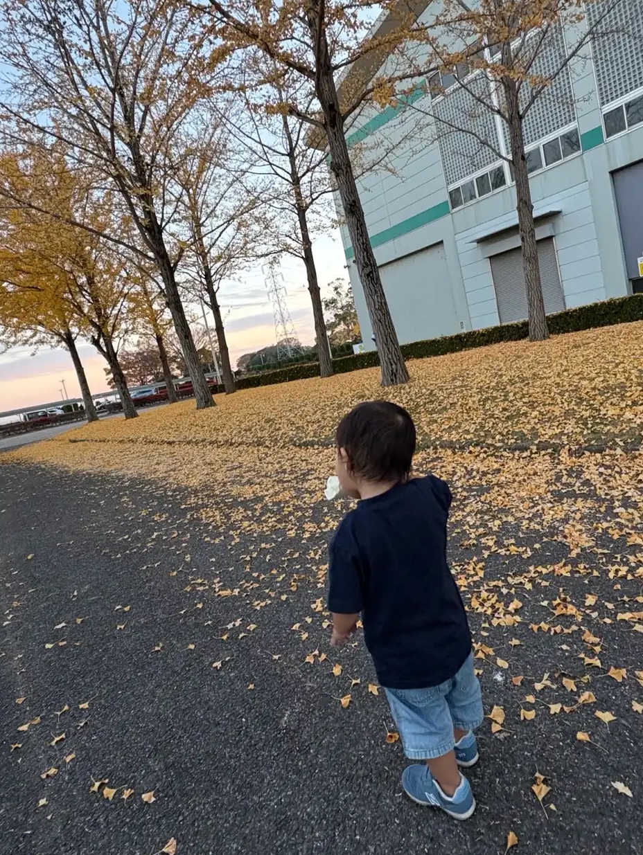 紅葉よりアイス