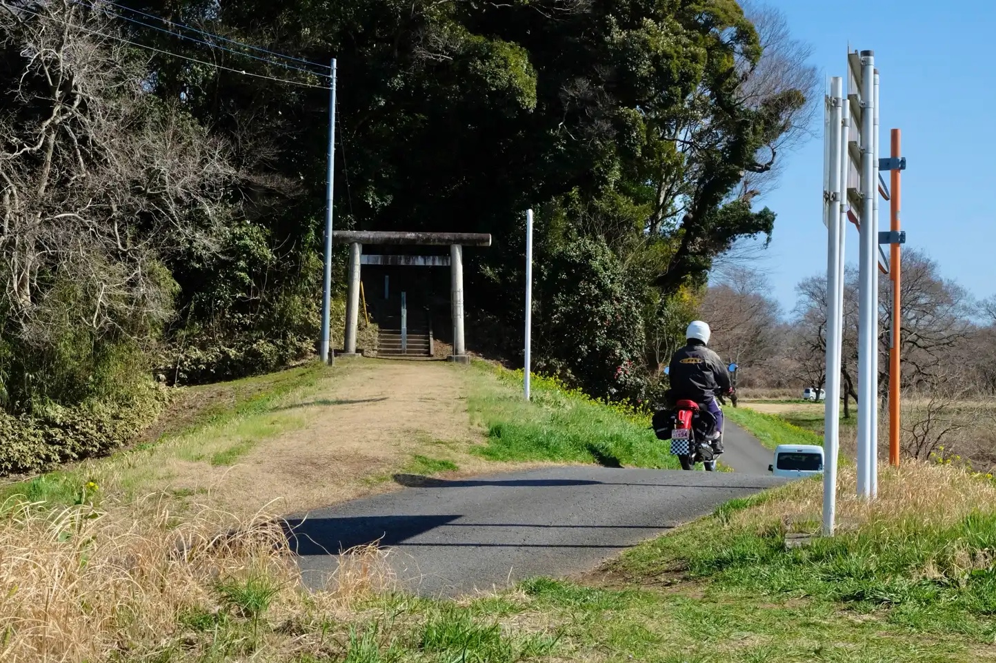 お散歩日和