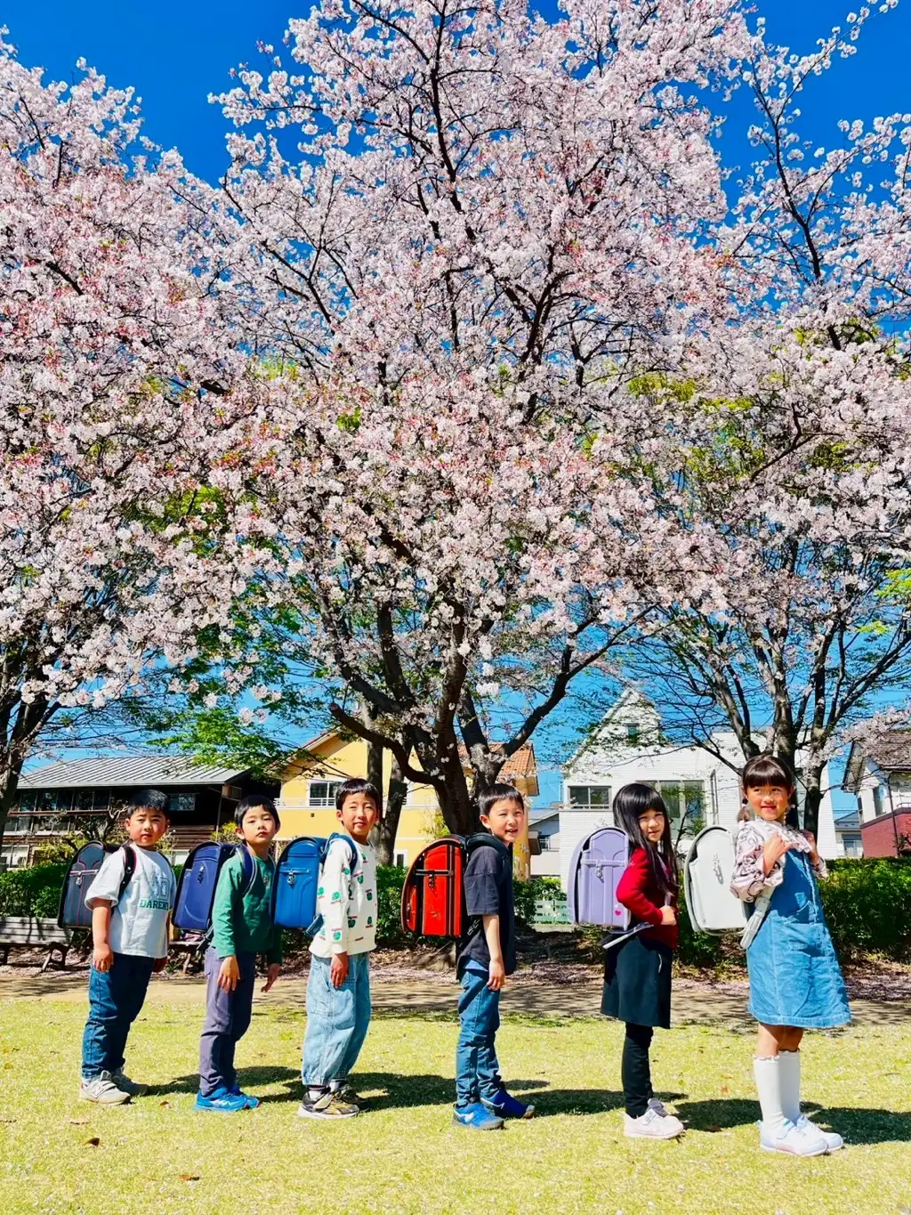 明日は入学式！