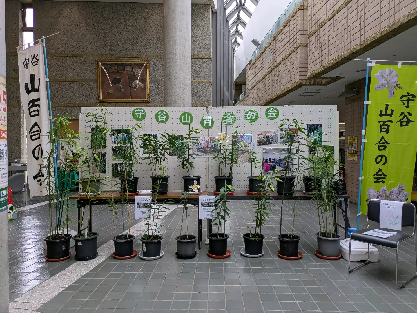 守谷市の花山百合の展示会