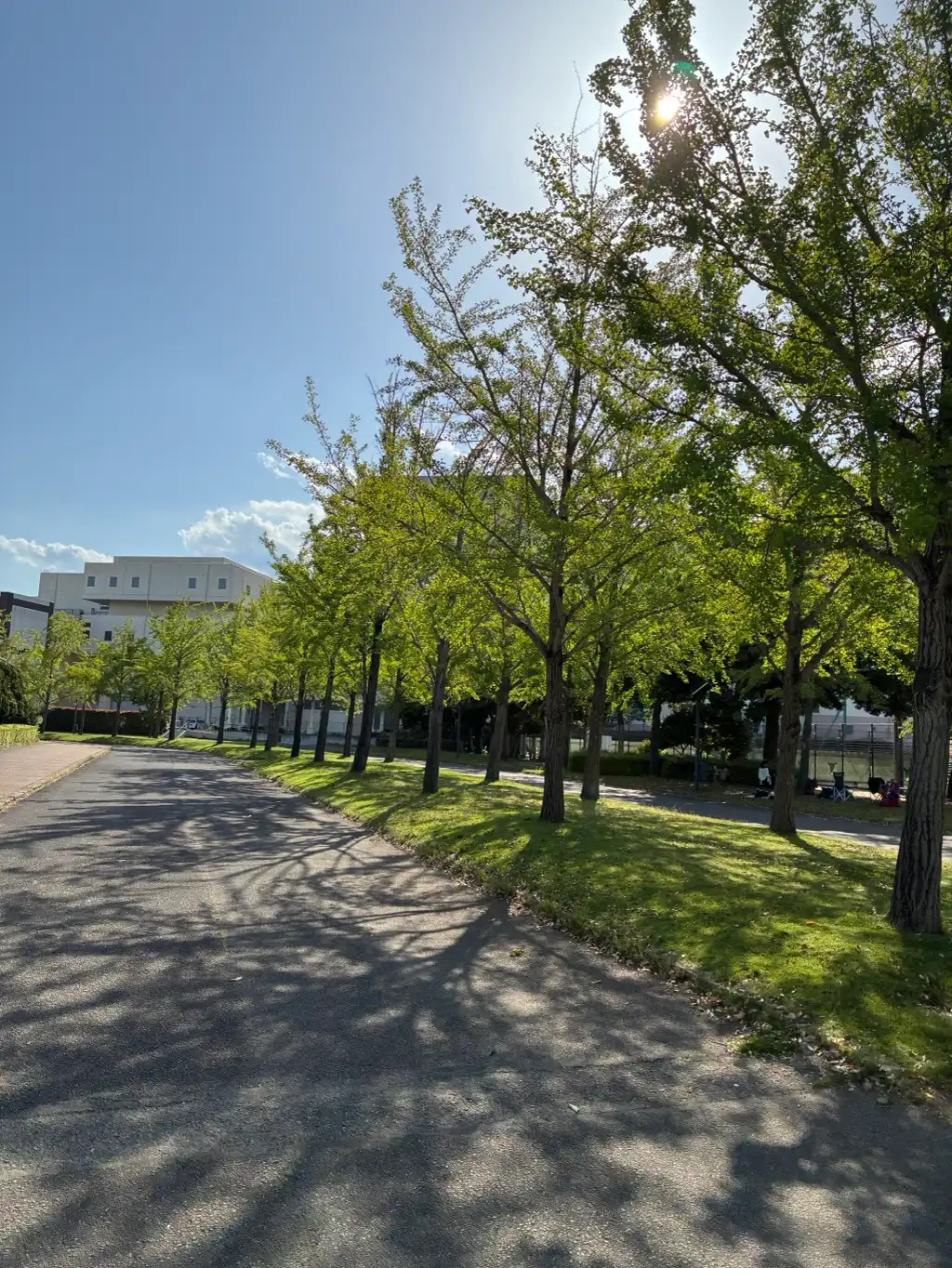 常総運動公園